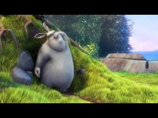 The Bunny Film